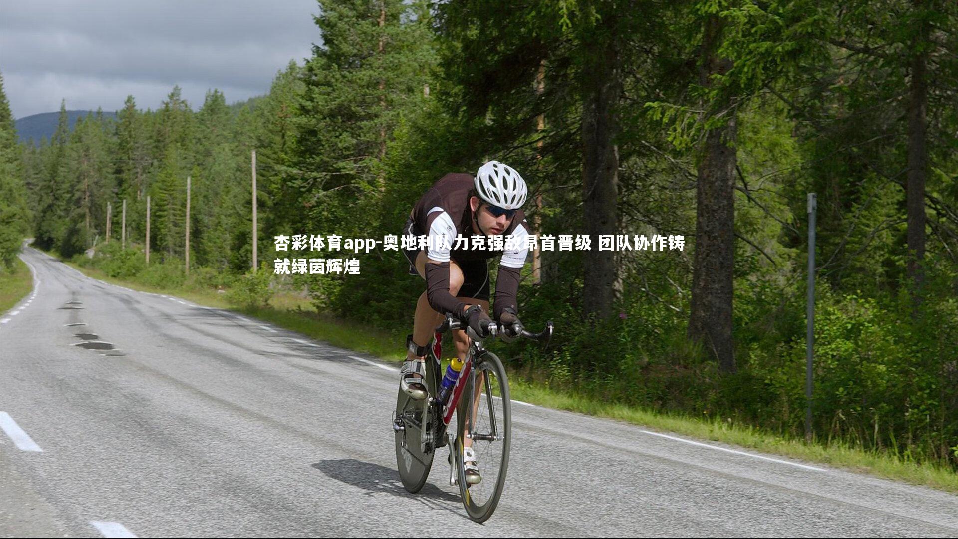 杏彩体育app-奥地利队力克强敌昂首晋级 团队协作铸就绿茵辉煌